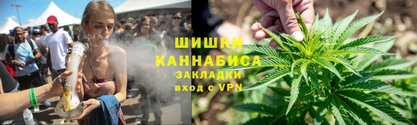 крисы Арсеньев